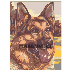 Maalid numbrite järgi A52