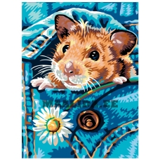 Maalid numbrite järgi A53