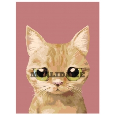 Maalid numbrite järgi A544