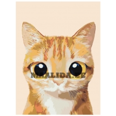 Maalid numbrite järgi A548