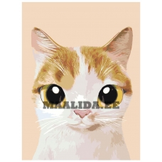 Maalid numbrite järgi A549