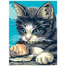 Maalid numbrite järgi A54