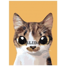 Maalid numbrite järgi A550