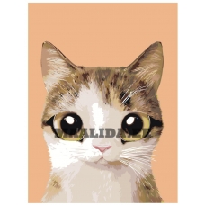 Maalid numbrite järgi A551