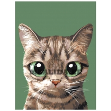 Maalid numbrite järgi A552