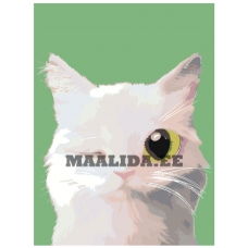 Maalid numbrite järgi A553