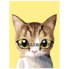 Maalid numbrite järgi A554