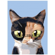 Maalid numbrite järgi A555