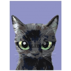 Maalid numbrite järgi A556