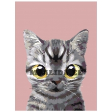 Maalid numbrite järgi A557