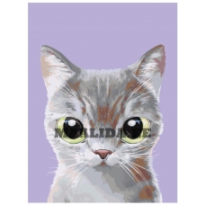 Maalid numbrite järgi A558