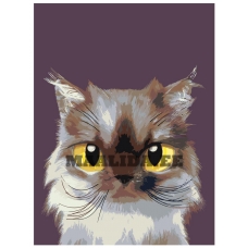 Maalid numbrite järgi A560