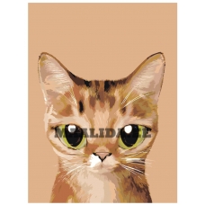 Maalid numbrite järgi A561