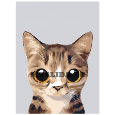 Maalid numbrite järgi A562