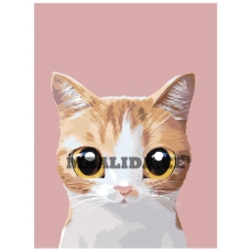 Maalid numbrite järgi A563