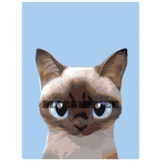 Maalid numbrite järgi A564