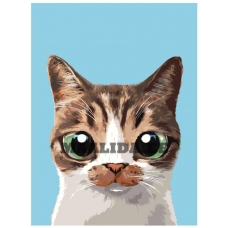 Maalid numbrite järgi A565