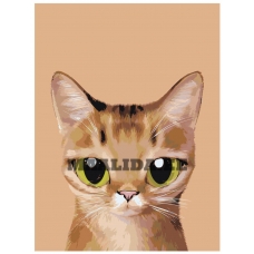 Maalid numbrite järgi A566