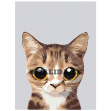 Maalid numbrite järgi A567