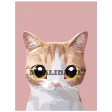 Maalid numbrite järgi A568