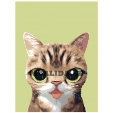 Maalid numbrite järgi A571