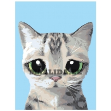 Maalid numbrite järgi A572