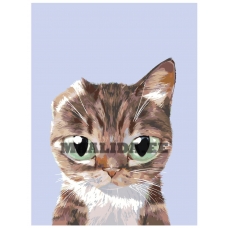 Maalid numbrite järgi A575