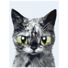 Maalid numbrite järgi A578