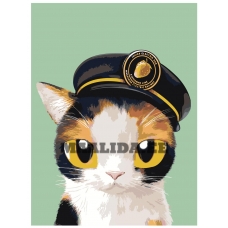 Maalid numbrite järgi A580