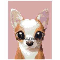 Maalid numbrite järgi A581