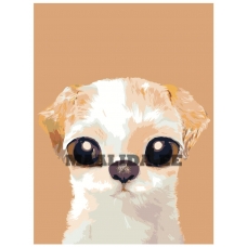 Maalid numbrite järgi A582