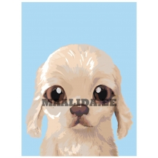 Maalid numbrite järgi A583