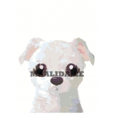 Maalid numbrite järgi A585