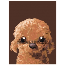 Maalid numbrite järgi A586