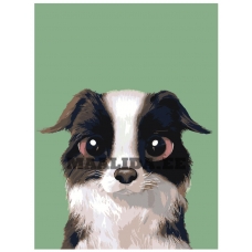 Maalid numbrite järgi A587