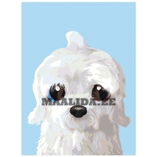 Maalid numbrite järgi A588