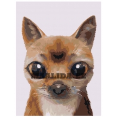 Maalid numbrite järgi A589