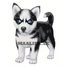 Maalid numbrite järgi A592