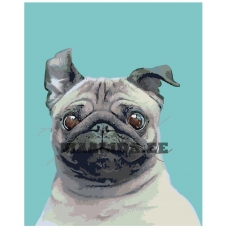 Maalid numbrite järgi A593