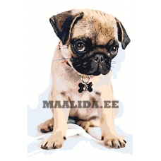 Maalid numbrite järgi A594