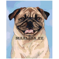 Maalid numbrite järgi A595