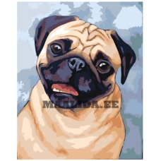 Maalid numbrite järgi A597