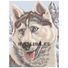 Maalid numbrite järgi A59