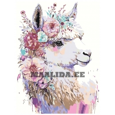 Maalid numbrite järgi A5II-30AF048