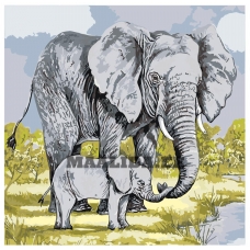 Maalid numbrite järgi A5II-40AF035