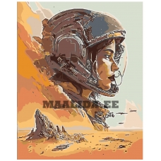 Maalid numbrite järgi A5II-AF1317