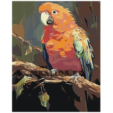 Maalid numbrite järgi "The Lonely Parrot" A5II-AF1473