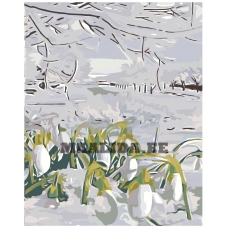 Maalid numbrite järgi "Snowdrops" A5II-AF264
