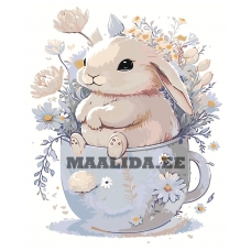 Maalid numbrite järgi "Valge jänku" A5II-AF710