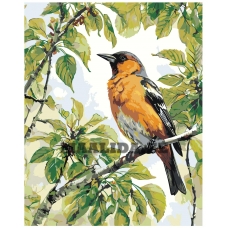 Maalid numbrite järgi A5II-AN31